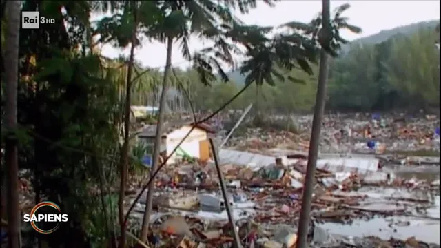 2004, Lo tsunami Sumatra