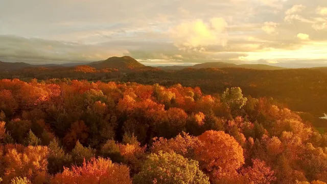 America's Wild Seasons Spring
