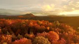 America's Wild Seasons Summer