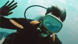 Il giorno del delfino