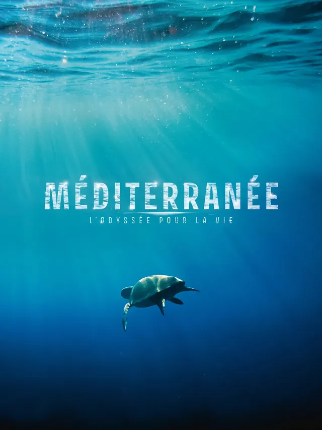 Me'diterrane'e