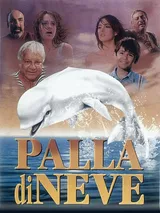 Palla di neve