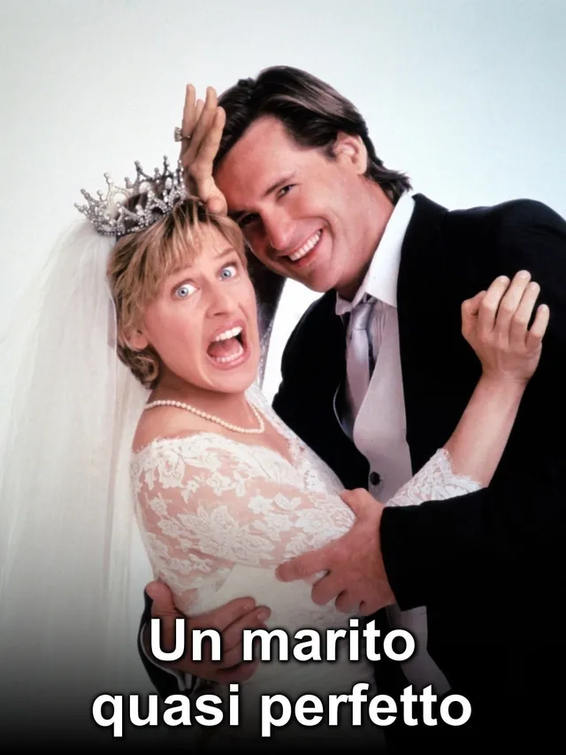 Un Marito Quasi Perfetto