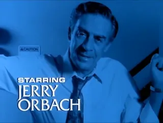 Lennie Briscoe