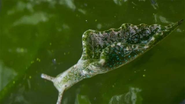 13 ore per sopravvivere - E2