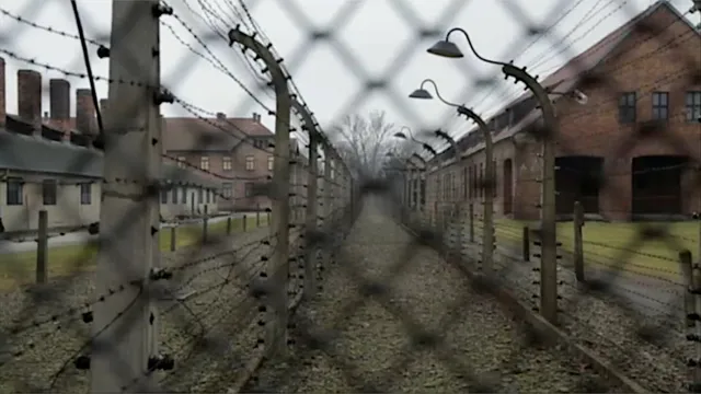 1945-2025. La memoria di Auschwitz