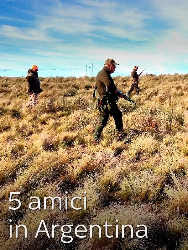 5 amici in Argentina 1