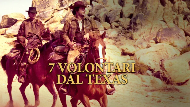 7 volontari dal Texas