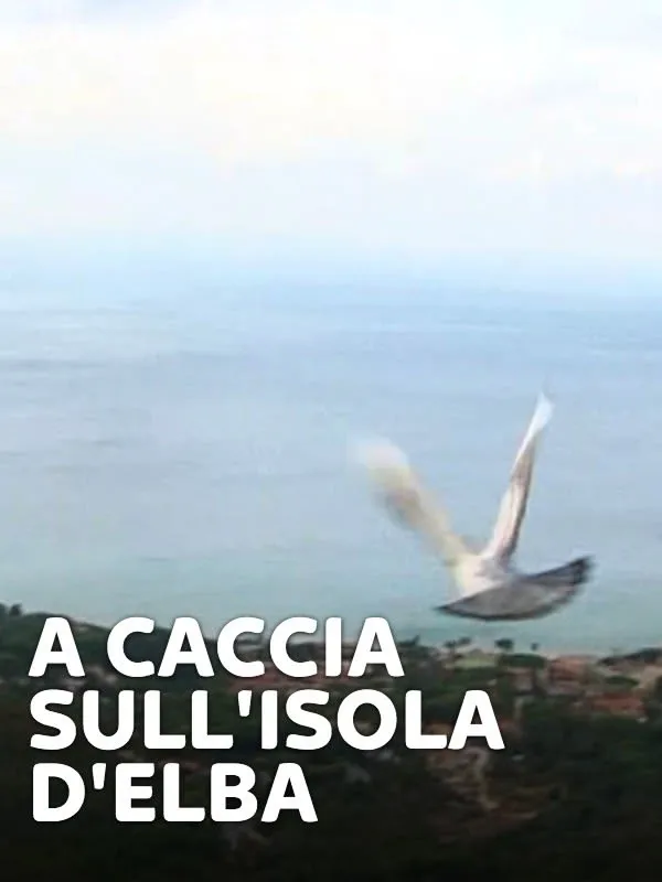 A caccia sull'Isola d'Elba
