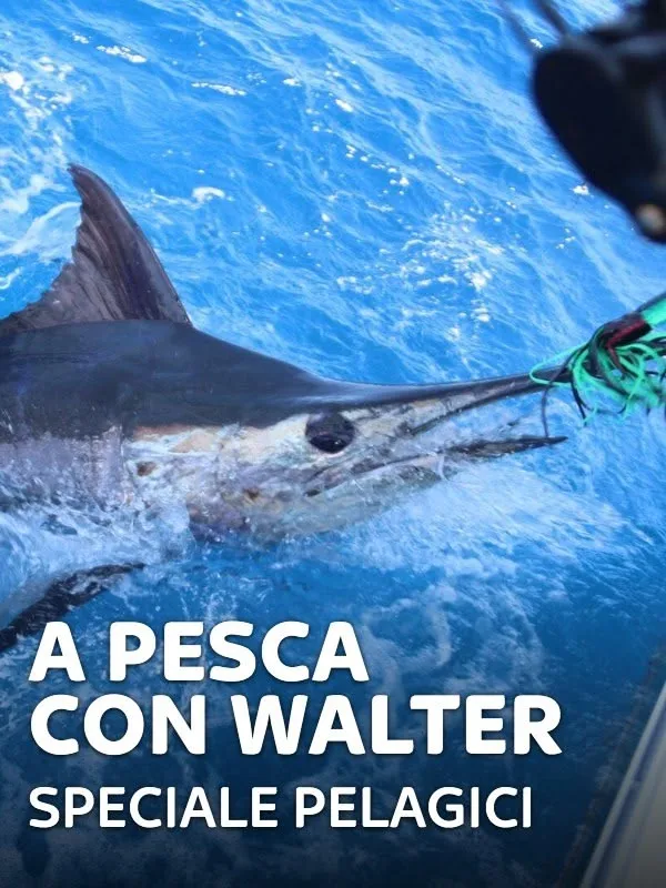 A pesca con Walter - Speciale Pelagici 3