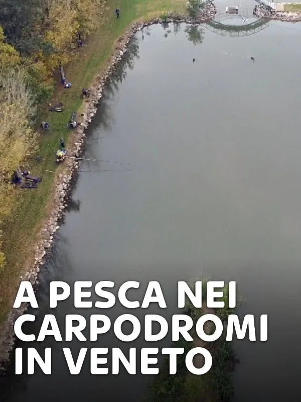 A pesca nei carpodromi in Veneto 1