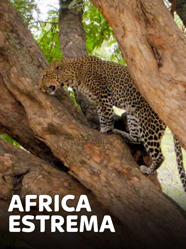 Africa estrema