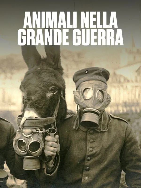 Animali nella grande guerra