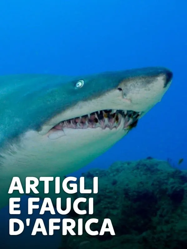 Artigli e fauci d'Africa