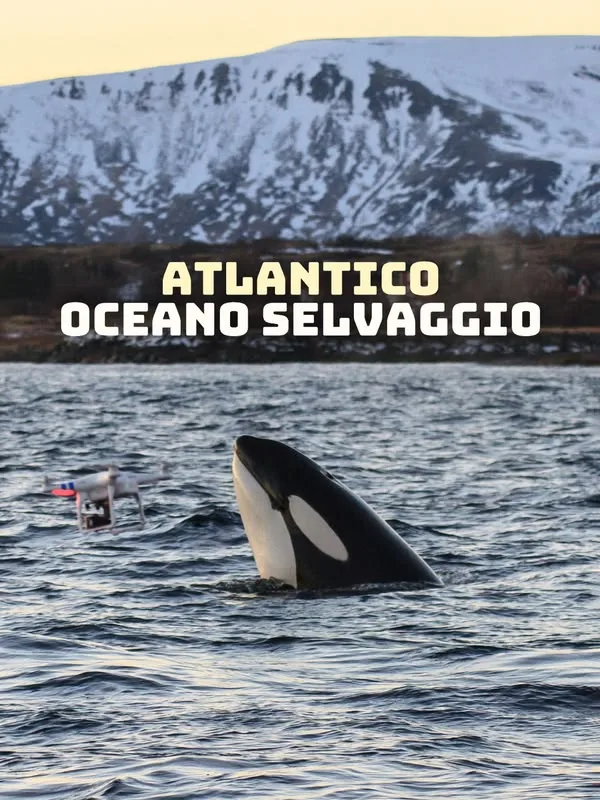 Atlantico: Oceano selvaggio