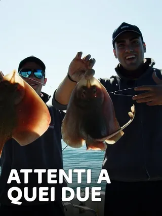 Attenti a quei due 1