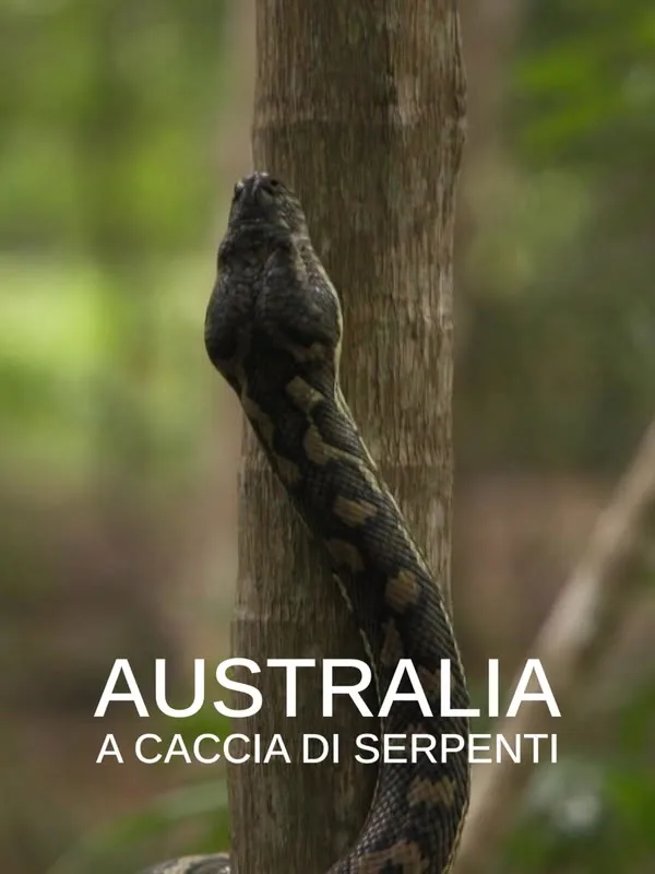 Australia: A caccia di serpenti