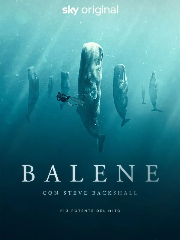 Balene con Steve Backshall