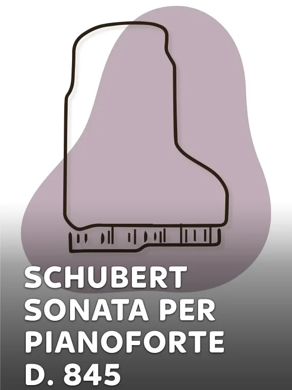 Barenboim: Le sonate di Schubert - 10