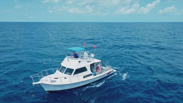 Bermuda: I misteri degli abissi