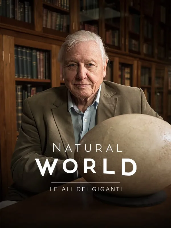 Big Birds: Le ali dei giganti