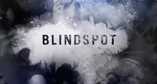 Blindspot
