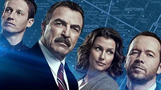 Blue Bloods