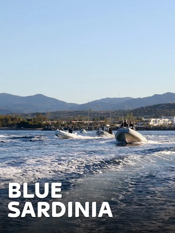 Blue Sardinia 3