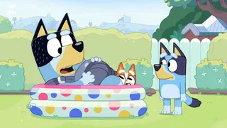 Bluey