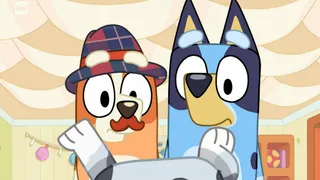 Bluey