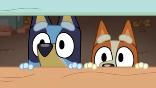 Bluey
