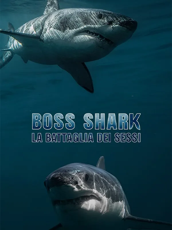 Boss Shark - La battaglia dei sessi