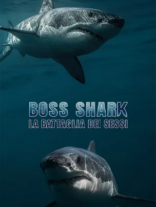 Boss Shark - La battaglia dei sessi