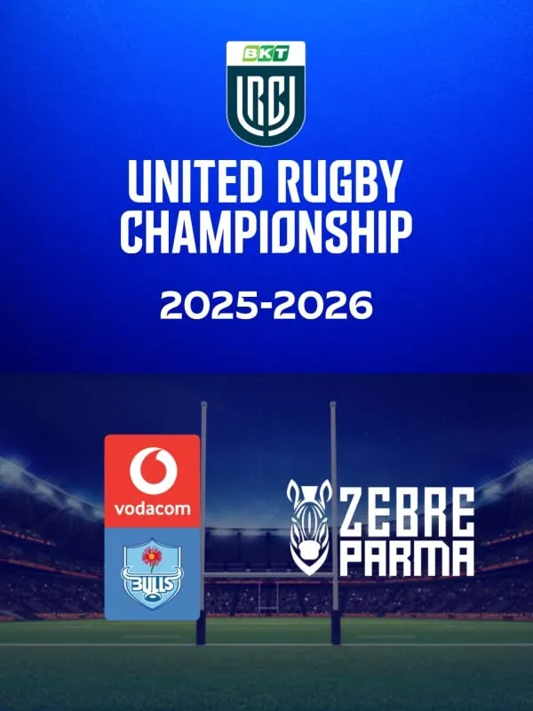 Bulls - Zebre