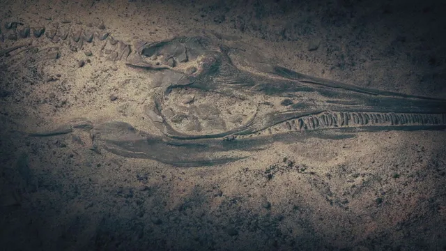 Buried evidence