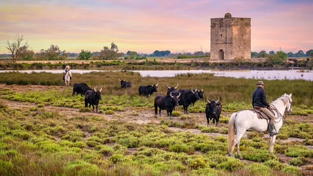 Camargue: Il regno dell'acqua dolce