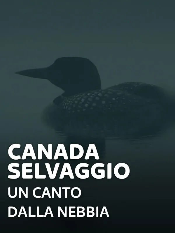 Canada selvaggio - Un canto dalla nebbia