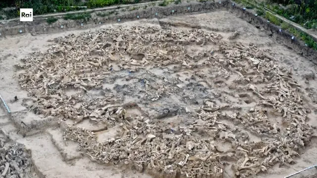 Casa Sapiens