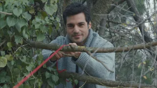 Cherry Season - La stagione del cuore