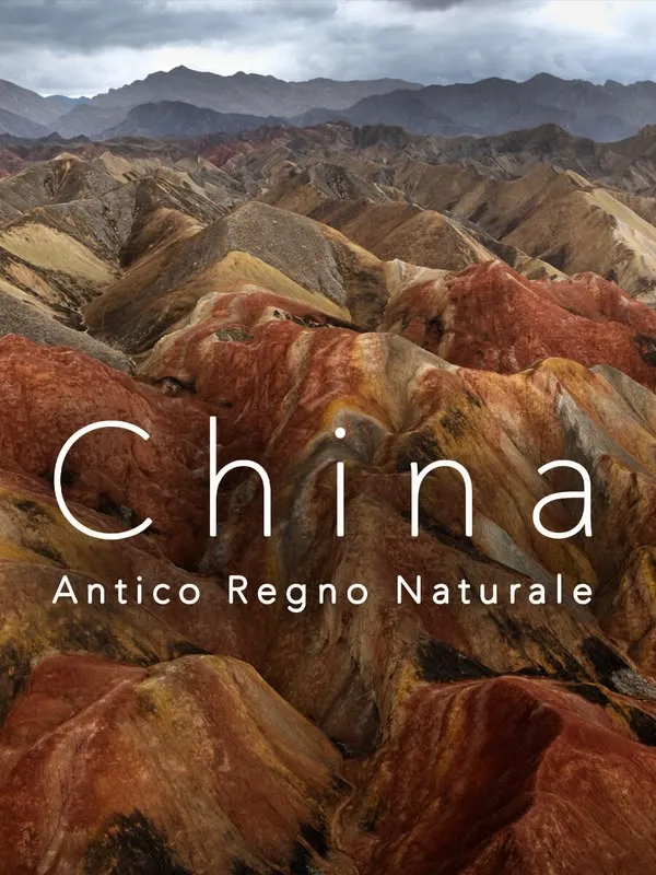 Cina - Antico regno animale