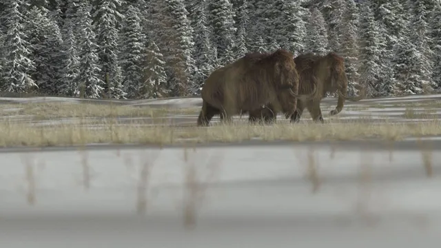 Com'erano fatti gli animali preistorici