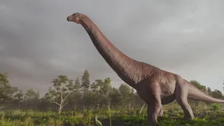 Com'erano fatti gli animali preistorici