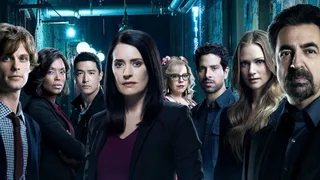Criminal Minds VII