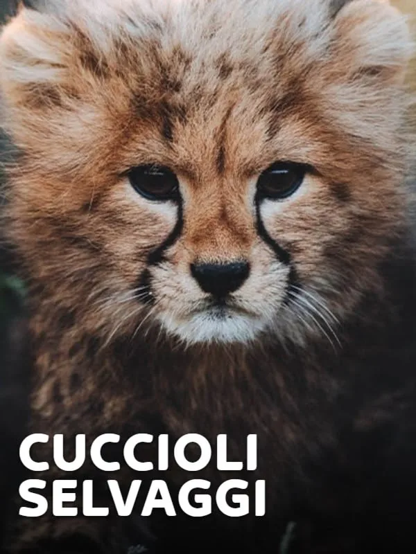 Cuccioli selvaggi
