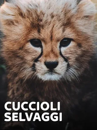 Cuccioli selvaggi