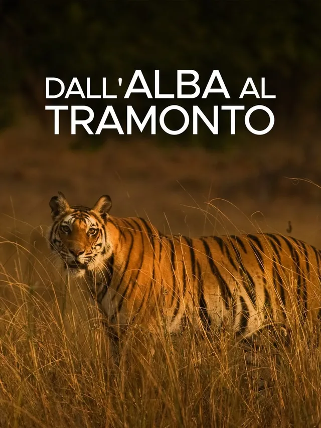 Dall'alba al tramonto