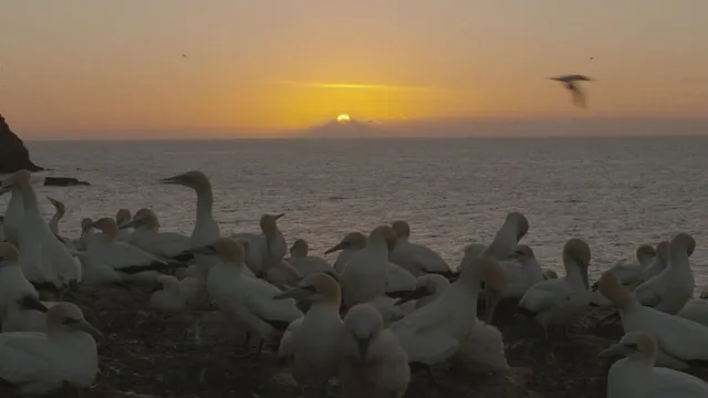 Dall'alba al tramonto