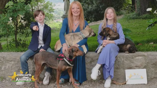 Dalla parte degli animali