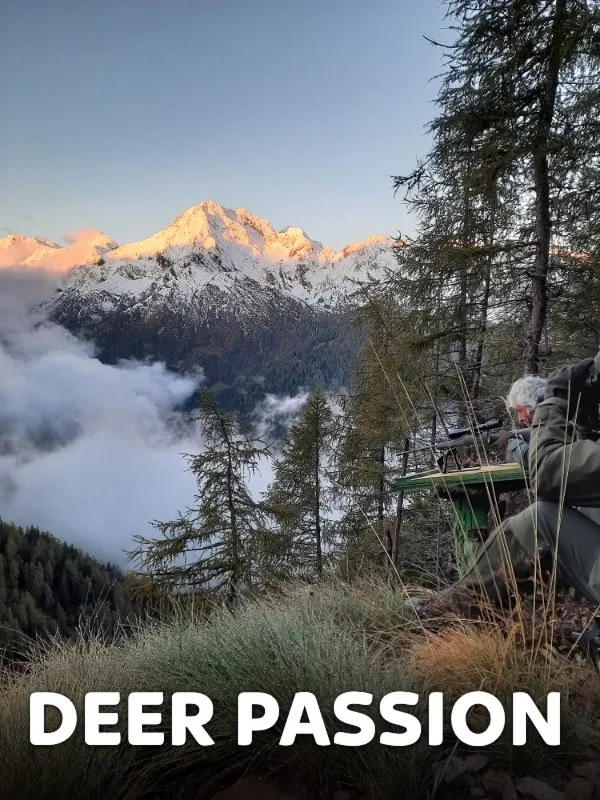 Deer Passion