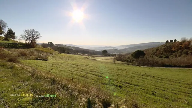 Di là dal fiume e tra gli alberi - Versione ridotta - Molise, terra di mezzo